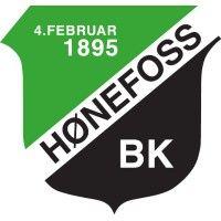 hønefoss ballklubb - logo image