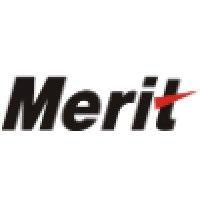 merit systems private limited