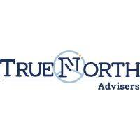 true north advisers logo image