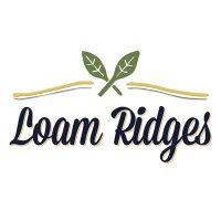 loam ridges olive oil