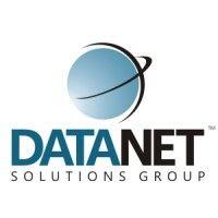 data net solutions group logo image