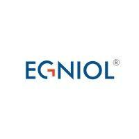 egniol services private limited logo image