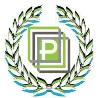 platinum intelligent data solutions, llc (platinum ids) logo image