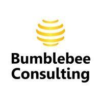 bumblebee consulting