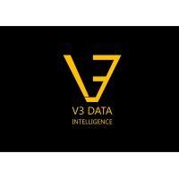 v3 data intelligence pvt ltd logo image