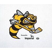 sarnia sting logo image