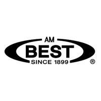 am best logo image