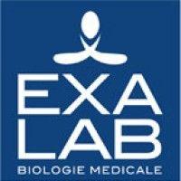 exalab logo image