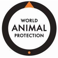 world animal protection logo image