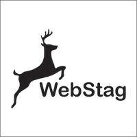 webstag technologies logo image