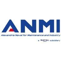 naval group egypt (anmi) logo image