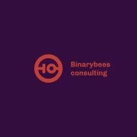 binarybees consulting logo image