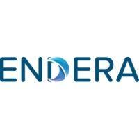 endera logo image