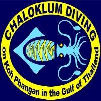 chaloklum diving logo image