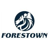 forestown international group