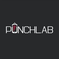 punchlab logo image