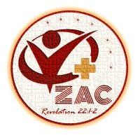 zion academe of coders & consultants logo image