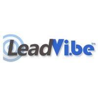 leadvibe logo image