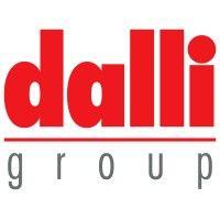 dalli-group logo image