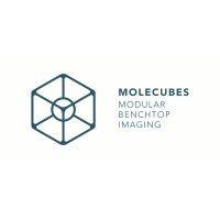 molecubes nv logo image