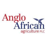 anglo african agriculture plc logo image