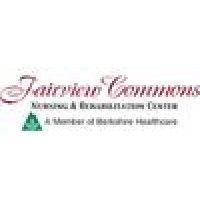 fairview commons logo image