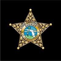 hillsborough county sheriff's office logo image