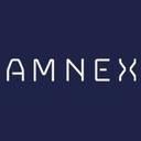 logo of Amnex Infotechnologies