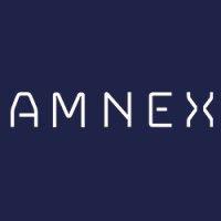 amnex infotechnologies