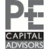 p.e.plus capital advisors logo image