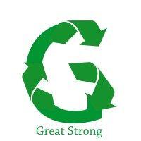 great strong electronics limited