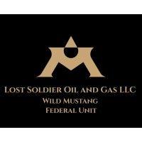 lost soldier oil and gas llc logo image