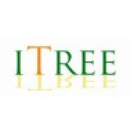 itree consulting pvt. ltd. logo image