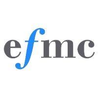 efmc - european fund management consulting logo image