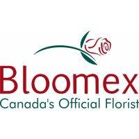 bloomex canada logo image