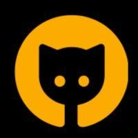 shadowkat kids logo image