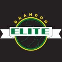 brandon elite volleyball association logo image