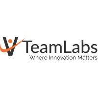 vteamlabs llc logo image