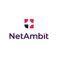 netambit logo image