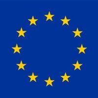 european union delegation to the united states logo image