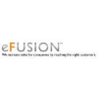 efusion solutions logo image