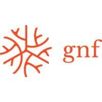 global nerve foundation logo image