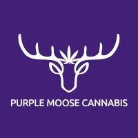 purple moose cannabis