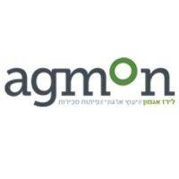 agmon consulting logo image