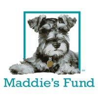 maddie's fund logo image