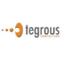 tegrous consulting