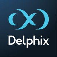 delphix logo image