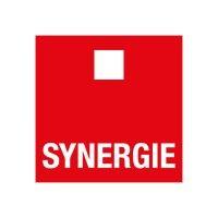 synergie logo image