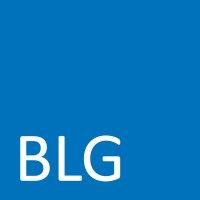 blg development finance