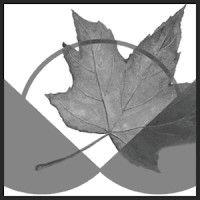 canadian centre for policy alternatives logo image